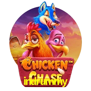 indrummy — Chicken Chase crash game | Play on Android APK & iPhone for real money | Hacksaw Gaming
