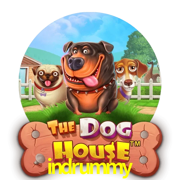 indrummy — The Dog House slot | Play on Android APK & iPhone for real money | Pragmatic Play